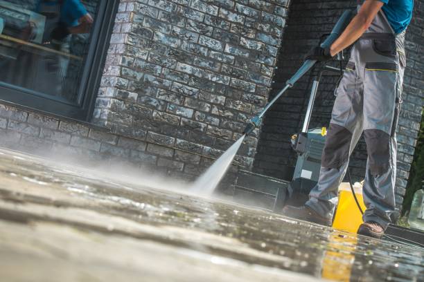 Best Solar Panel Cleaning  in Ruston, LA